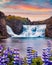 Calm outdoor scene of Hjalparfoss Waterfall. Astonishing summer sunset in Iceland, Europe. Blooming lupine flowers on the river sh