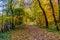 Calm path under colorful trees at autumn, Bratislava, Slovakia