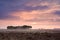 Calm pink sunset over home among swamps