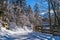 Calm place, white snow and winter trees on ski resort