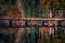 Calm pond small wooden pier reflection in water