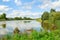 Calm pond surface surrounded by willow trees