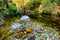 Calm pond with wet round rocks, mossy and rocky riverside in Tollymore Forest Park