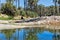 Calm pools of river water with tropical palms reflected