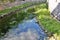 Calm river with green shore and wall mirrored