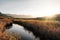 Calm river passing between rushes at Lozari in Corsica