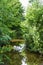 Calm river running through nature reserve in english countryside