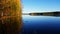 Calm scenery. Forest are reflecting from the water.