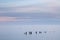 Calm sea and groynes at sunset