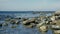 Calm sea on the rocks of seagulls and ships