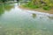 A calm serene shallow pond at a nature garden park