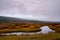 Calm Stream Through The Prairie