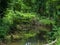 Calm Stream Runs Through Green Springtime Forest