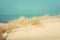 Calm sunny beach with dunes and grass. Baltic sea