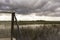 Calm swamp and reeds under storm clouds