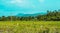 Calm time concept. Beauty peaceful panorama summer sunshine landscape scenery forested mountains background, duck