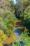 A calm tranquil scene of Merri Creek