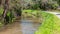 A calm tranquil scene of Merri Creek