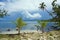 Calm tropical shore with coconut trees and cloud