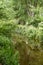 Calm waater in a small river running through countryside