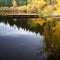 Calm water and a boat dock.