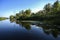 A calm water landscape, plants reflected in the water surface.