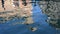 Calm water reflecting traditional Venetian houses