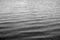 Calm water surface in black and white