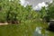 Calm water surface on Crocodile Lagoon in Hartley s Crocodile Adventures