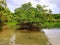 Calm waters of the Caribbean Sea with lush vegetation under a tropical cloudy sky. Idyllic nature landscape in the French West