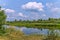 Calm waters of a picturesque pond with trees growing on the shore with bright green leaves against a blue sky with