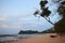 Calm Waters of Sea at Sandy Beach with Reclining Tree and other Trees in Morning Sky - Relaxing Landscape - Sitapur, Neil Island