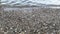 Calm waves of clear transparent river of Middle Rhine lapping at wet pebbles shore.Close up of crystal water.Copy space