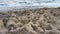 Calm waves washes a limestone beach closeup.