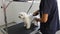 Calm white puppy at dog salon shortening. Front view of cute dog face while waiting woman to shorten hair all around