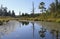 Calm Wilderness Waterway with Reflections