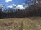 The calm of the woods and sky