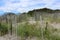 Calming scene of bright blue skies over sandy beach and weathered fencing