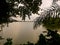 A calming scene at the lakeside at dusk with leaves as frame