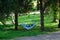 Calmness in a hammock
