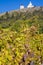 Calvary Mikulov with vineyard, Czech Republic