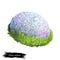 Calvatia or Handkea utriformis or mosaic puffball mushroom closeup digital art illustration. Boletus has spherical white body.