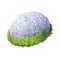 Calvatia or Handkea utriformis or mosaic puffball mushroom closeup digital art illustration. Boletus has spherical white body.