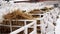 Calves on a livestock farm. Young calves are quarantined in separate plastic cages.