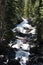 Calypso Falls tumbling over large boulders between rows of pine trees on the Wild Basin Trail in Rocky Mountain National Park