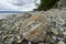 Camano Island State park Washington