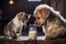 camaraderie, the cat generously shares its milk with its loyal canine friend. Ai generated