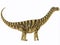 Camarasaurus Profile