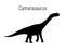 Camarasaurus. Sauropodomorpha dinosaur. Monochrome vector illustration of silhouette of prehistoric creature