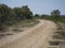 Camargue landscape at Aigues Mortes, France